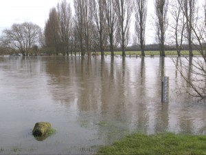 flood-field
