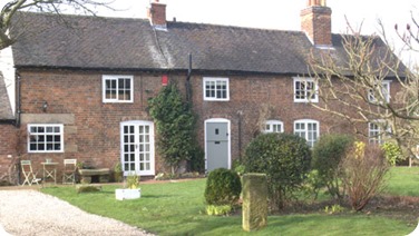 hollybush