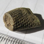 Victorian Thimble